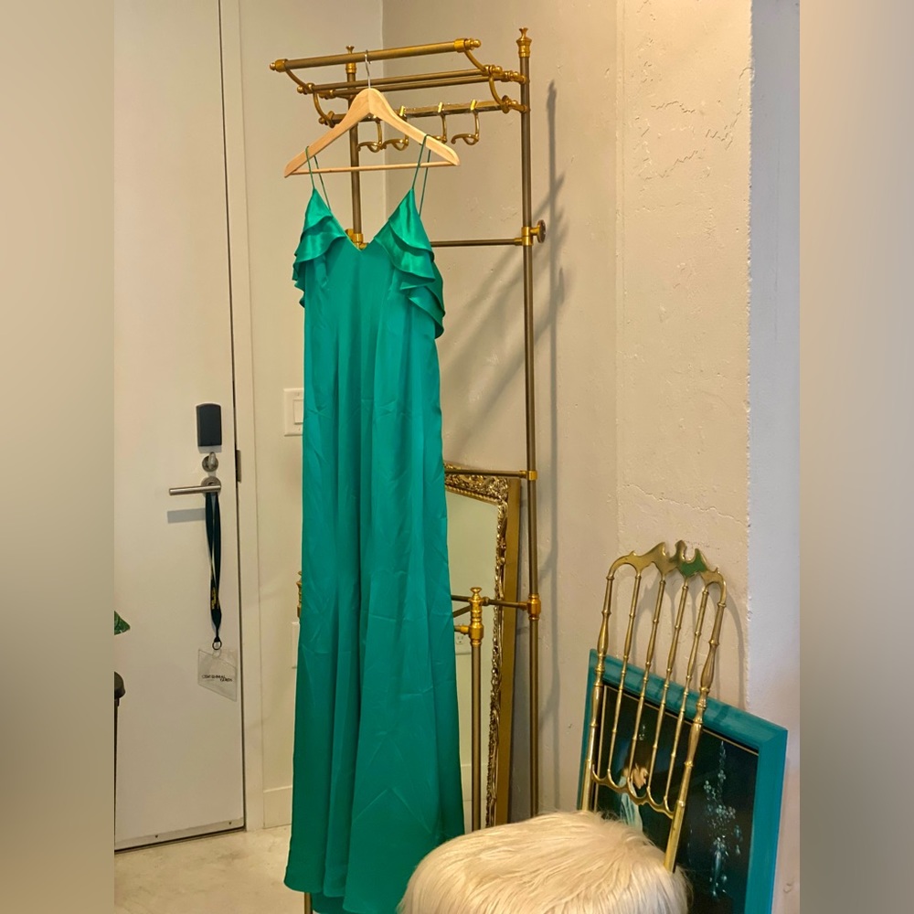 GORGEOUS Zac Posen Gown